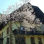 Haus Garz Apartment