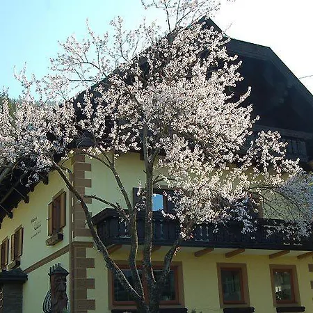 Haus Garz Apartment